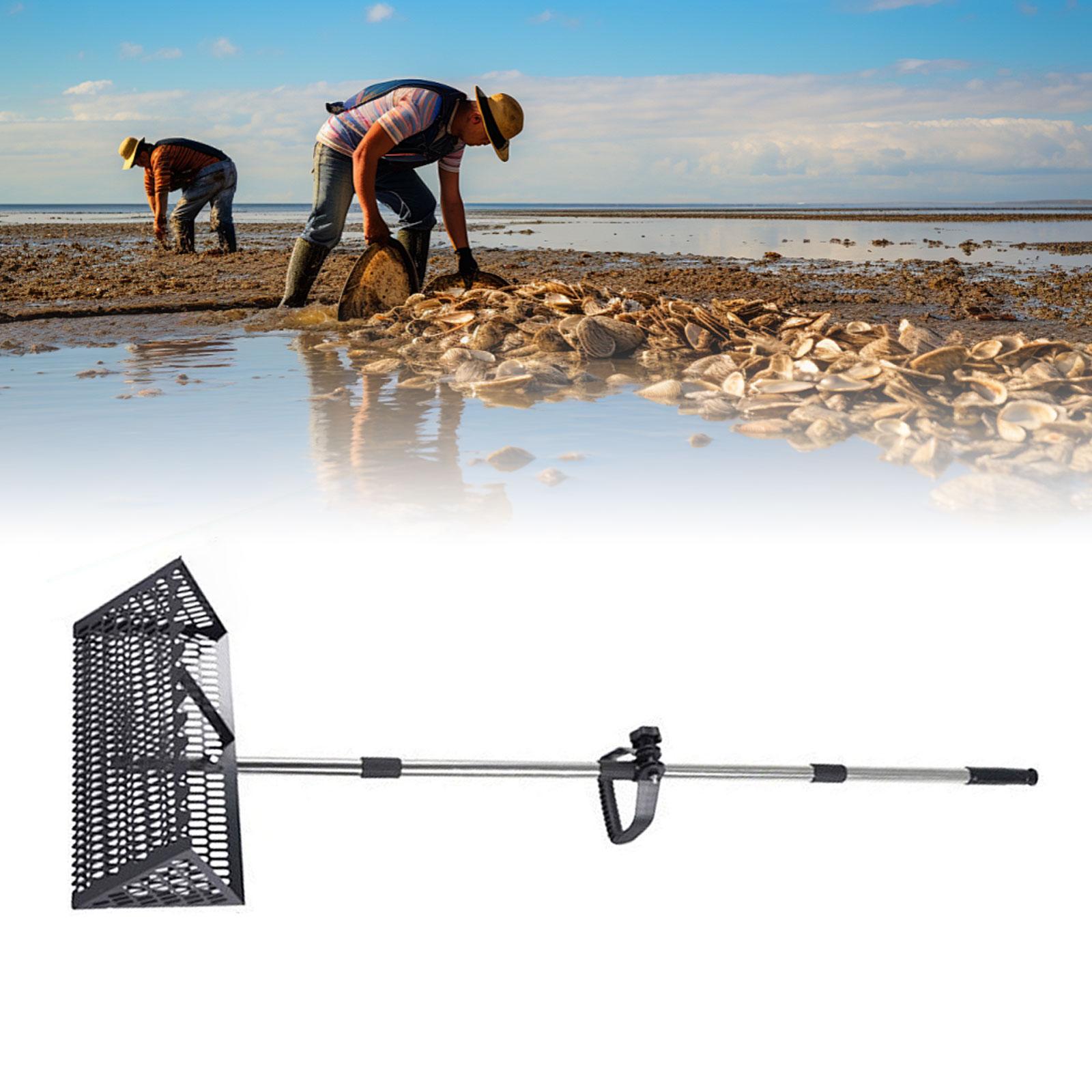Sand Scoop Stainless Steel Beach Digging - ตะแกรงกรองทรายชายหาด ช้อนตักทรายสแตนเลสแบบพับได้ สำหรับค้นหาและขุดทราย พร้อมถุงมือและถัง