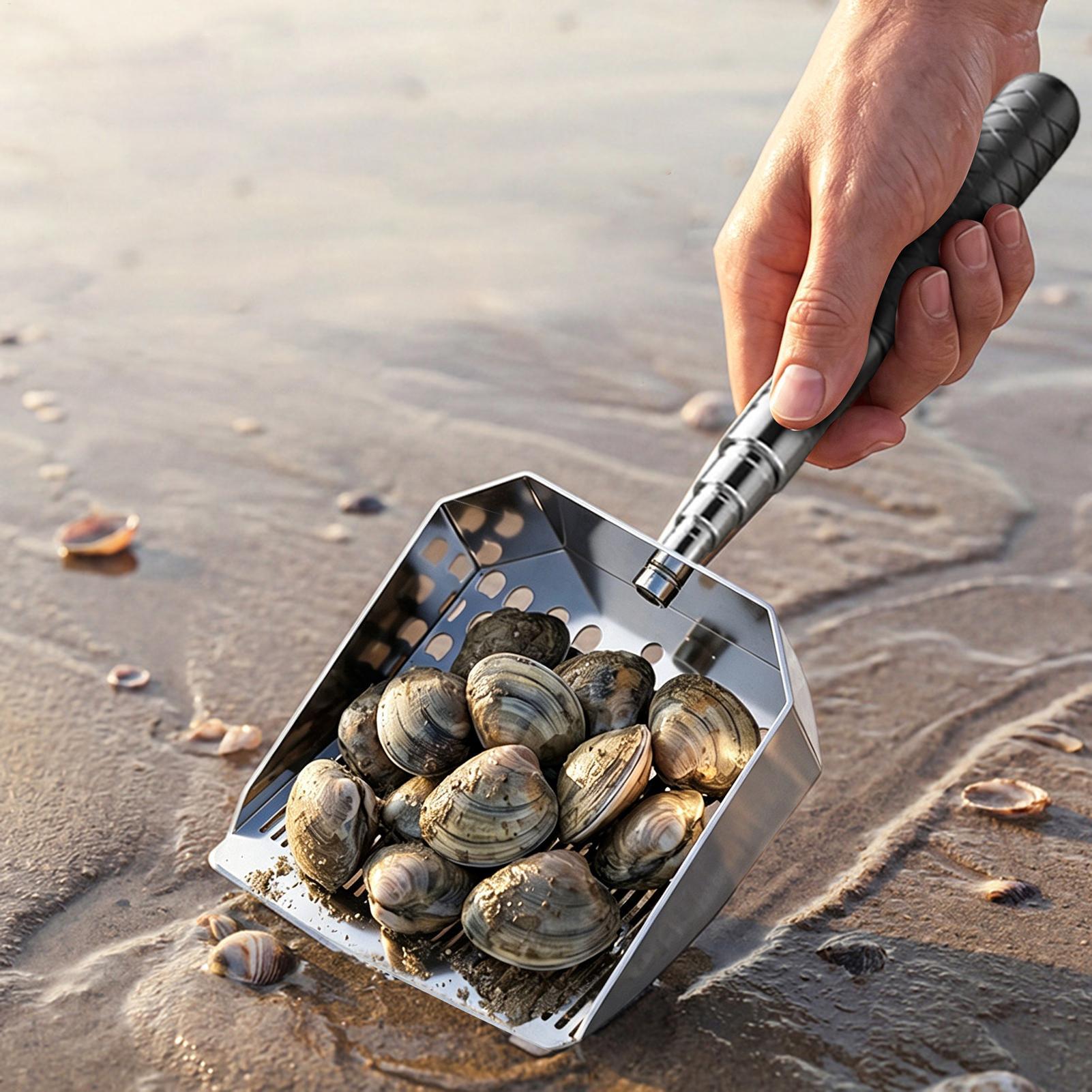 ที่ตักทราย สแตนเลส ที่กรองทราย - Sand Scoop Stainless Steel Beach Digging บทวิจารณ์และราคา